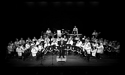Slinfold Concert Band